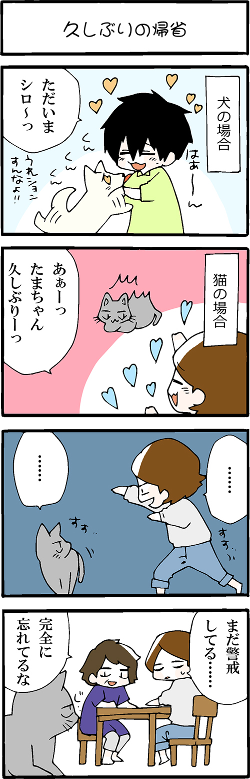 看護師採用マンガ久しぶりの帰省