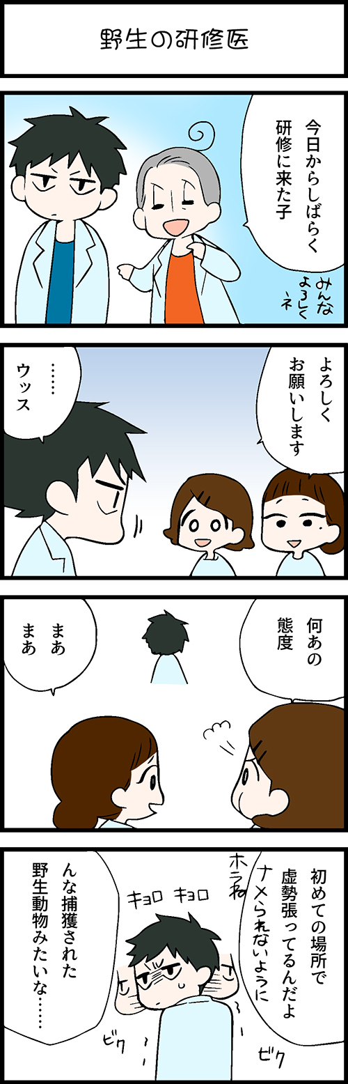 看護師採用マンガ野生の研修医